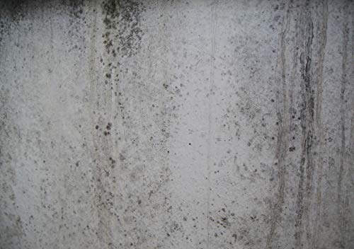 JOVIRA PINTURAS Impregnante Paredes Húmedas. Imprimación sellante incolora al agua, evita las humedades en muros y paredes por problemas de capilaridad. (1 Litro)